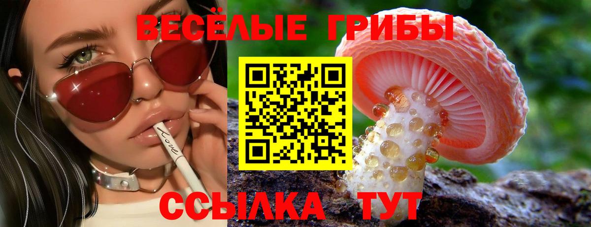 Нерюнгри  Псилоцибиновые грибы GOLDEN TEACHER  Вход с VPN  Галлюциногенные грибы Magic Shrooms 